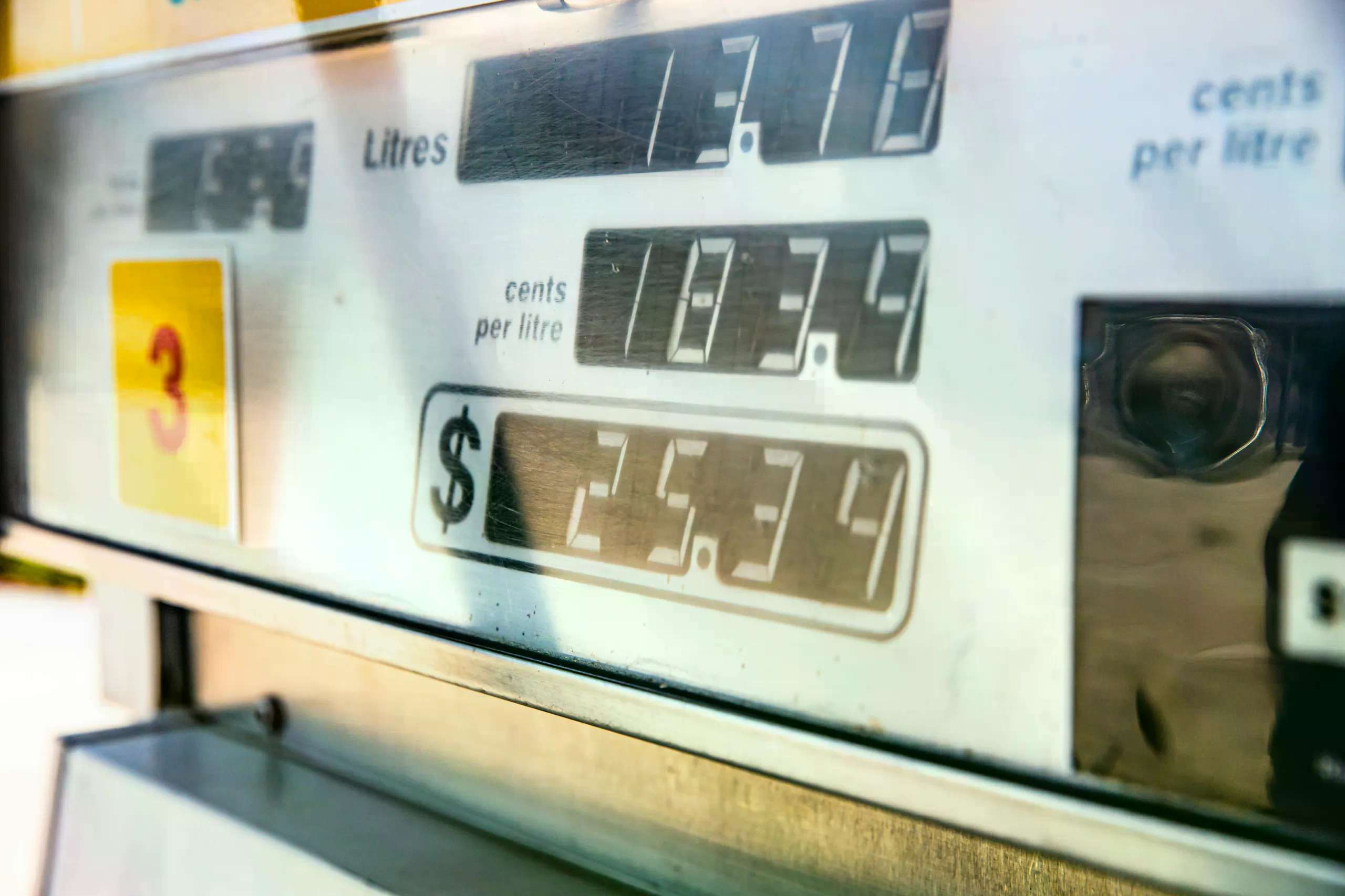 100K flock to Assisi for veneration of St. Francis' body in first week of display