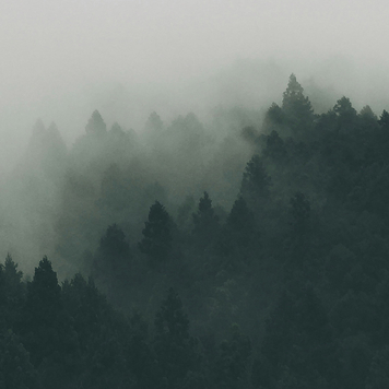 Psalm 16: Psalm of Grief